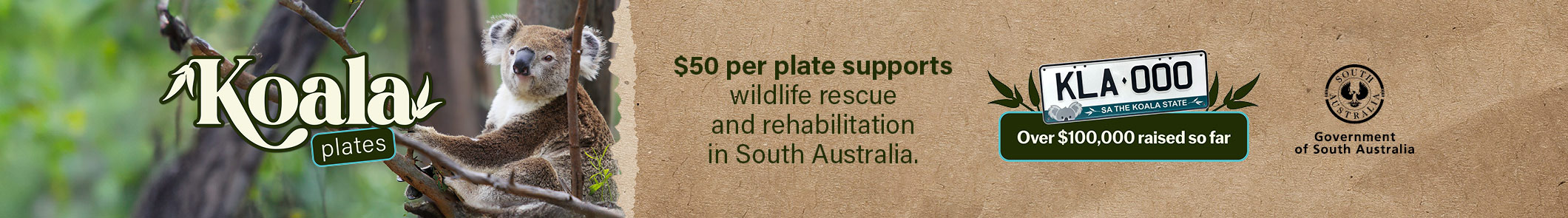 Koala plates to support wildlife rescue and rehabilitation